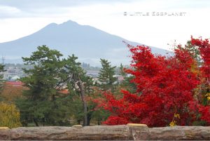 弘前城公園_Hirosaki Castle Park